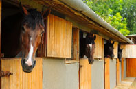 free Llanmiloe stable construction quotes